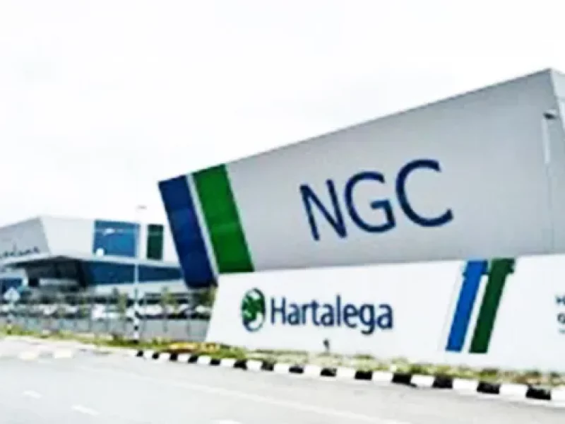 hartalega holdings berhad